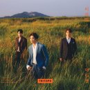 트리탑스 카카오 검색결과