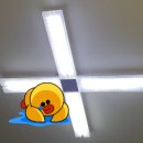 대화전업사