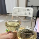 진산농업협동조합 | 애견팬션 태안 (1일차) ❤️라온애견팬션❤️ 다견가정 3박4일 단골 팬션 후기, 태안 정육점 백화산가든 추천👍