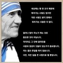 일상의 작은변화 이미지