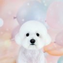 멍쓰홀릭 이미지