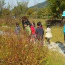 성모남해유치원 이미지