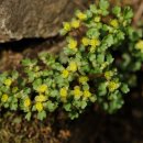 다래산장 이미지