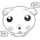 마랭고