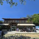 167 | 남양주 애견카페 성지 바닐라브릭 재방문 후기