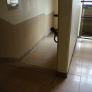 용호1로21번길 이미지