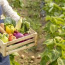 옥천농협 군북지점 이미지