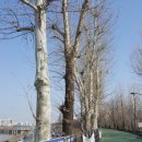 새말빗물펌프장 이미지