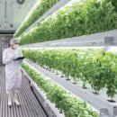 은총농장 이미지