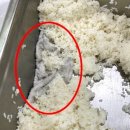 밥통 이미지