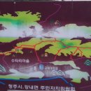 동막동(6) 이미지