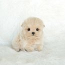 진량동물병원 이미지