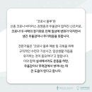 하이풀 스포츠 이미지