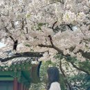 동산해물탕 | 제주도 시티투어 버스 대신 제주도 미니버스 렌트 슬로우제주