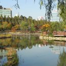 보라매공원 Daum카페
