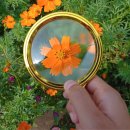 나를사랑하는글쓰기 | 글쓰기, 나를 객관적으로 사랑하는 또 하나의 눈