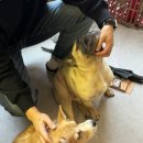 점례와방실이