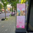 상주중학교 | 청주고양이카페 성안길 고양이카페왔냥 집사체험 후기 주의사항 꿀팁