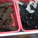 할매실비회식당 이미지