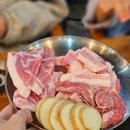 꼬스븐 이미지