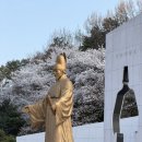 수원-1977 | 8개월 아기와 수원 행궁동 벚꽃 나들이｜보영만두 본점 방문 후기 (원조 논란 정리)