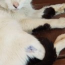 (주)마디메디칼 이미지