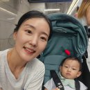 15개월 아기랑 둘이 먼저 떠나는 제주여행