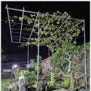 이음펜션 - 거제시 남부해안로 50 | 이음펜션