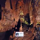 천곡황금박쥐동굴 이미지