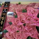 한우고기소 이미지
