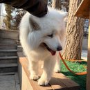 CU삼선병원점 | 93. 할 건 해야지 (2/20-28)