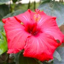 상동호수공원 이미지