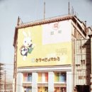 주식회사 사과나무 Daum카페