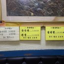 목포홍탁 Daum카페