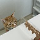 겸하당현대백화점