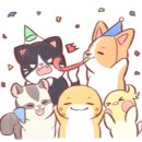 경기레포츠클라이밍