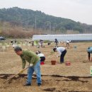 내동면시민텃밭 이미지