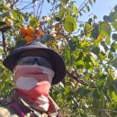 호랭이농장 이미지