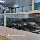 명진회센타 이미지