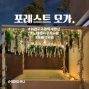 포레스트모가 이미지