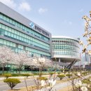 한국전기안전공사 이미지
