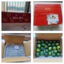 청등농장 | 싱싱한 갓딴귤 풋귤, 청귤로 새콤달콤 청귤청