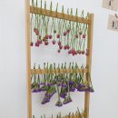 바오공방