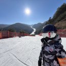 하이원 스키샵, 스키모아에서 스키대여, 보드 대여부터 리프트권 할인에 스키강습, 보드 강습까지 모두 모아와 함께 하세요. 이미지