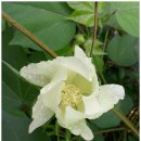 우솔한의원 이미지