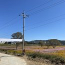 숲뜰근린공원 이미지