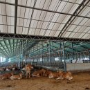 그린축사 이미지