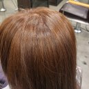 토리헤어송산 이미지