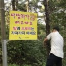 다람쥐신발