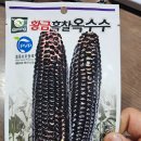 한농종묘사 이미지